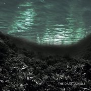 Rogério Francisco Quarteto - The Dark Jungle (2022) [Hi-Res]