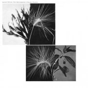 ANDREW PEKLER  -  New Environments & Rhythm Studies (2025)