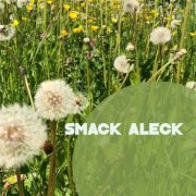 Smack Aleck - Unavoidable (2022) [Hi-Res]