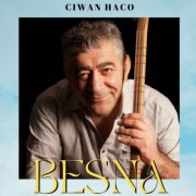 Ciwan Haco - Besna (2026)
