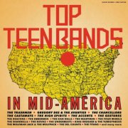 Various Artists - Top Teen Bands in Mid-America 1964-1966 (2018)