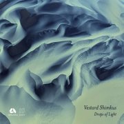 Vestard Shimkus - Drops of Light (2022) [Hi-Res]