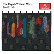 David Loeb - The Rapids Without Water (2026)