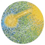 Max Cooper - Feeling Is Structure (2026) [Hi-Res]