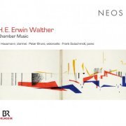 Ib Hausmann, Frank Gutschmidt, Peter Bruns - H.E. Erwin Walther: Chamber Music (2013)