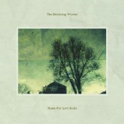 The Declining Winter - Home For Lost Souls (2015)