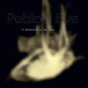 Pablo's Eye - A Mountain Is An Idea (2022)