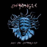 Shpongle - Are You Shpongled? (Remastered) (2019) [Hi-Res]