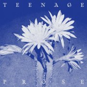 Ghosts & Errors - Teenage Prose (2026) [Hi-Res]