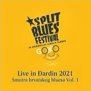 VA - Split Blues Festival: In Memoriam Jadran Zlodbe Gobbo (Live In Dardin 2021: Smotra Hrvatskog Bluesa Vol. 1) (2022)