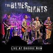 Albert Castiglia, Lisa Andersen, Mike Zito, Jimmy Carpenter and Kid Andersen - The Blue Giants: Live At Groove Now (2024)