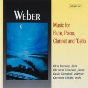 Christine Croshaw - Music for Flute, Piano, Clarinet and cello  (2026) [Hi-Res]