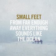 Small Feet - From Far Enough Away Everything Sounds Like The Ocean (2015)