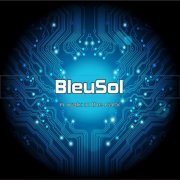 BleuSol - A Walk in the Park (2011)