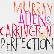 David Murray, Geri Allen, Terri Lyne Carrington - Perfection (2016) Lossless