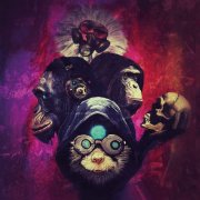 The Dirt - Monkey Punch (2025) Hi Res