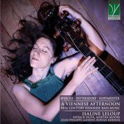 VA - Sperger, Dittersdorf, Hoffmeister: A Viennese Afternoon (18th Century Viennese Bass Music) (2021)