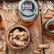 American Folk Channel - American Folk, Background Music Vol. 4 (2022)