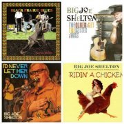 Big Joe Shelton - Discography (2008-2017)