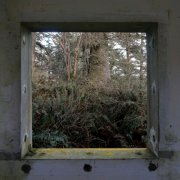 Derek Hunter Wilson - Sculptures (2026)