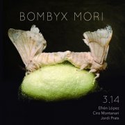 3,14 - Bombyx Mori (2020)