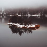 Warmth & Human Is Alive - Reflected (2025)