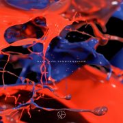 VA - Hate and Tenderness VIII (2025)