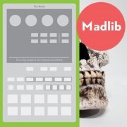 Madlib - The Beats (Our Vinyl Weighs a Ton Soundtrack) (2014)