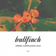 VA - Bullfinch Spring 2019 Compilation (2019)