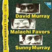 Sunny Murray Trio - Live at Moers Festival (1979)