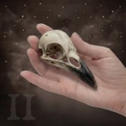Tori Sparks - Cabinet of Curiosities, Vol. 1-2 (2026) [Hi-Res]
