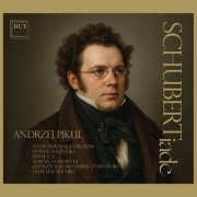 Andrzej Pikul - Schubertiade (2025) [Hi-Res]