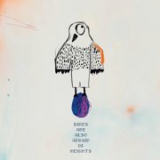 Thibault Gomez - Birds Also Are Afraid Of Hights (2025)