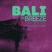 VA - Bali Breeze Grooves, Vol.06 (2025)