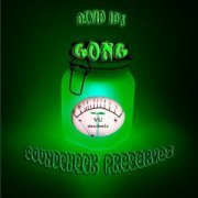 Gong - Soundcheck Preserves (2009)