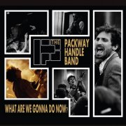 The Packway Handle Band - What Are We Gonna Do Now? (2010)