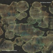 Rok Zalokar - Pieces for Collective Change (2025) [Hi-Res]
