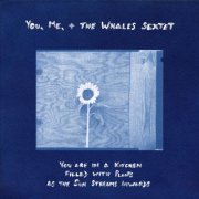 You, Me, + the Whales - You are in a Kitchen Filled with Plants as the Sun Streams Inwards (2026) [Hi-Res]