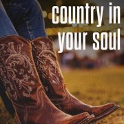 VA - country in your soul (2025)