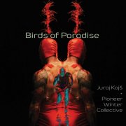 Juraj Kojs - Birds of Paradise (2025)