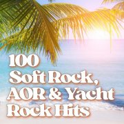VA - 100 Soft Rock, AOR & Yacht Rock Hits (2025)