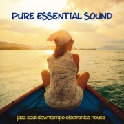 VA - Pure Essential Sound (2020) flac