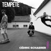 Cédric Schaerer Trio - Tempête (2021) [Hi-Res]