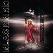 Blackbird - Do You Read Me!? (2026) Hi Res