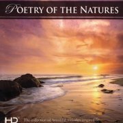 Blue Seas Grand Orchestra - Poetry of The Natures [2CD] (2013)