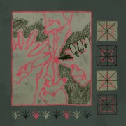 Suitor - Saw You Out with the Weeds (2026) [Hi-Res]