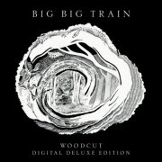 Big Big Train - Woodcut (Deluxe Edition) (2026) [Hi-Res]