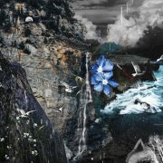 THISISTHX - Finite Species (2025)