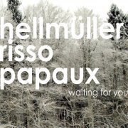 Hellmüller Risso Papaux - Waiting for You (2012)