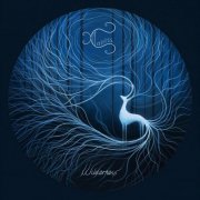 Cairiss - Wilderness (2026) Hi-Res